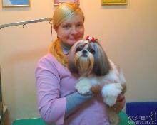 Грумінг домашніх улюбленців – необхідність чи примха?