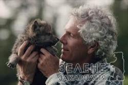 Інтелектуали світу тварин