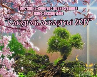 Конкурс "Сакура в акваріумі 2017" в Ужгороді з всеукраїнського трансформувався у міжнародний І "вир