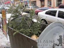 Новорічне деревце має зникнути із хати непомітно